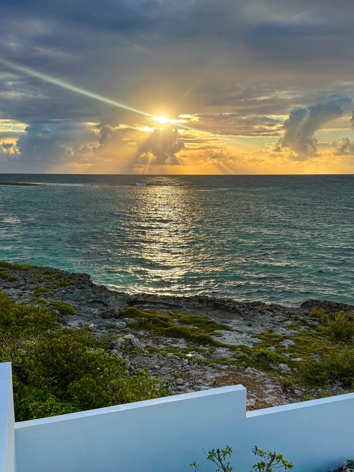 The Dock — floating and swimming just off the ladder