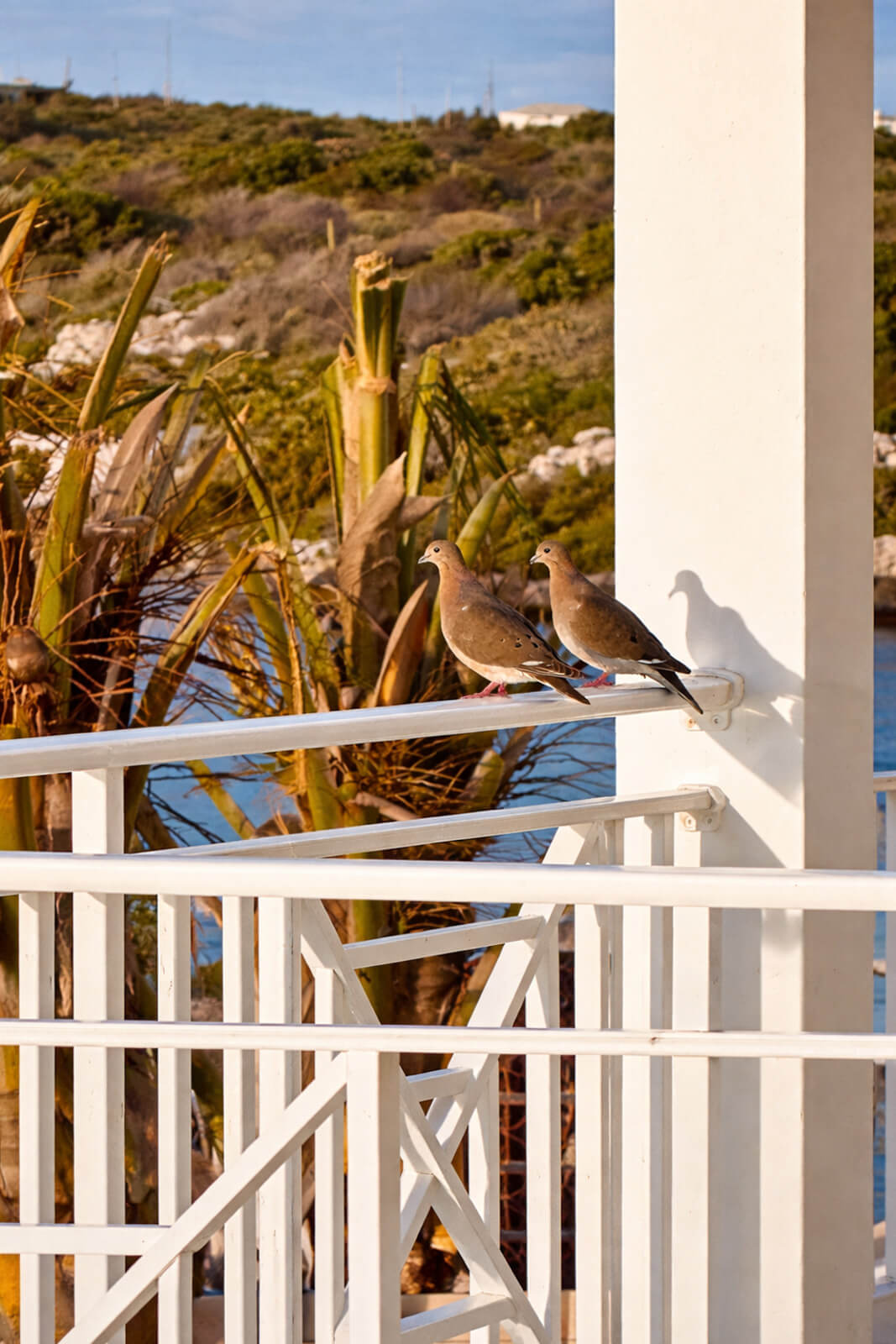 Upper Patio — views toward French St. Martin at dusk